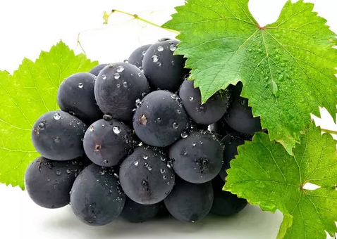 媽媽吃什么對寶寶的眼睛好 這些食物讓寶寶的眼睛又大亮