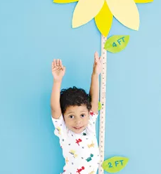 什么是轉骨期 轉骨期怎么長高