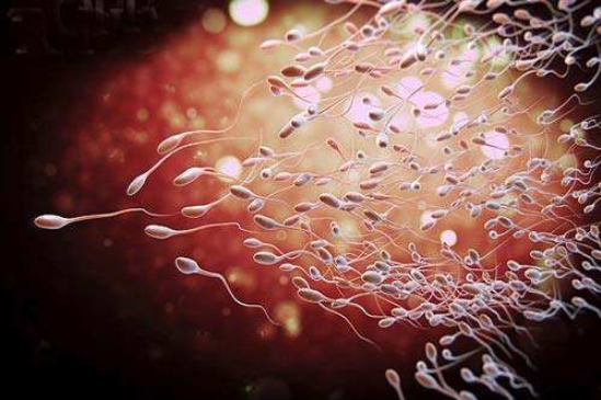 受精卵不著床是什么原因 受精卵著床詳細過程 受精卵不著床是什么原因 受精卵著床詳細過程