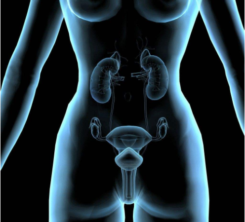 女性切除子宮會(huì)影響性生活嗎 什么情況下需要切除子宮