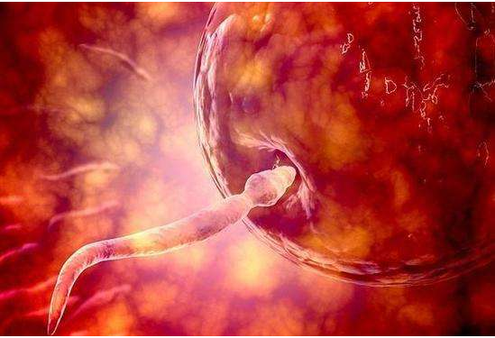 女性性高潮更容易生男孩嗎 怎么提高生男孩的幾率