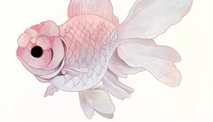 冬季抗寒補什么 冬季抗寒怎么補