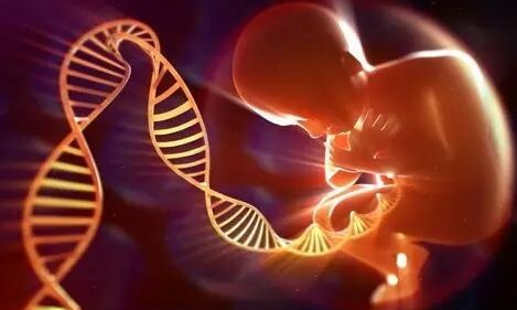 胎停育有哪些前兆 胎停育前兆癥狀一覽