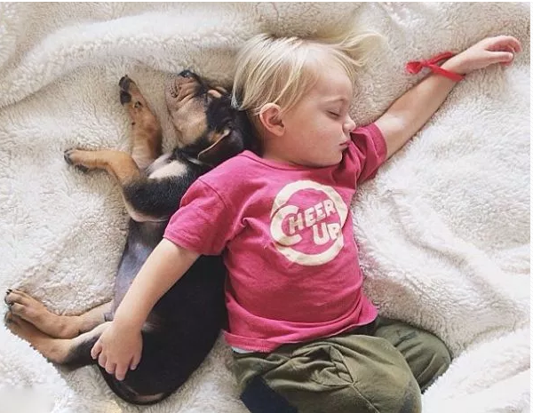 睡覺用定型枕可以糾正寶寶頭型嗎 如何讓寶寶睡出好頭型