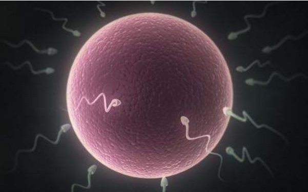 男性精液發黃正常嗎 男性精液發黃有什么危害 男性精液發黃正常嗎 男性精液發黃有什么危害