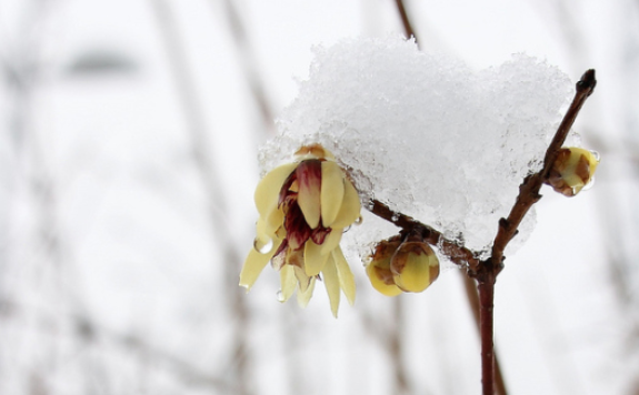 2018冬至節氣祝福語錄 今日冬至心情說說 2018冬至節氣祝福語錄 今日冬至心情說說