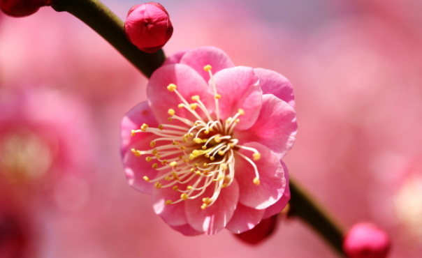 2018冬至節氣祝福語錄 今日冬至心情說說 2018冬至節氣祝福語錄 今日冬至心情說說