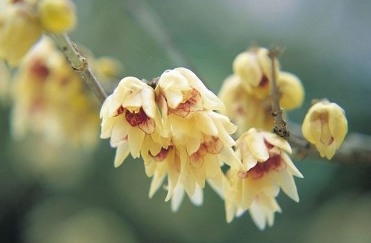 2018冬至節氣祝福語錄 今日冬至心情說說 2018冬至節氣祝福語錄 今日冬至心情說說