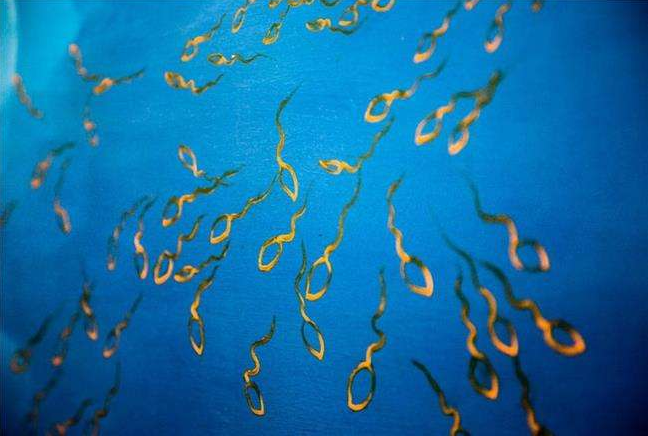 男性冷凍精子最佳年齡是什么時候 男性冷凍精子會影響試管嬰兒質量嗎 男性冷凍精子最佳年齡是什么時候 男性冷凍精子會影響試管嬰兒質量嗎