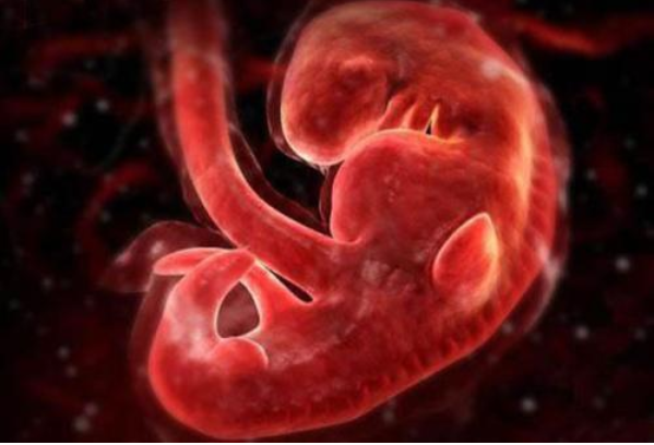 胎兒生長(zhǎng)發(fā)育受限有什么表現(xiàn) 胎兒生長(zhǎng)發(fā)育受限怎么辦