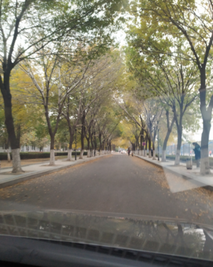 今日冬至的心情說說圖片 2018今日冬至問候祝福語 今日冬至的心情說說圖片 2018今日冬至問候祝福語