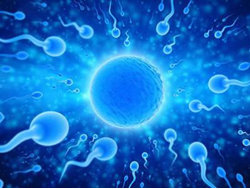 試管嬰兒打降調針有什么作用 怎樣提高降調的成功率