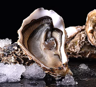 哪些發物是不能吃的 什么是發物