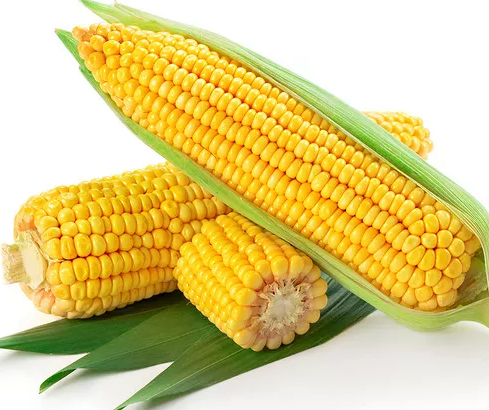 哪些食物對(duì)寶寶眼睛好 對(duì)寶寶眼睛好的食物