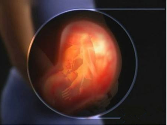 胎寶寶在肚子里亂踢是在干嘛 準媽媽如何和胎寶寶互動