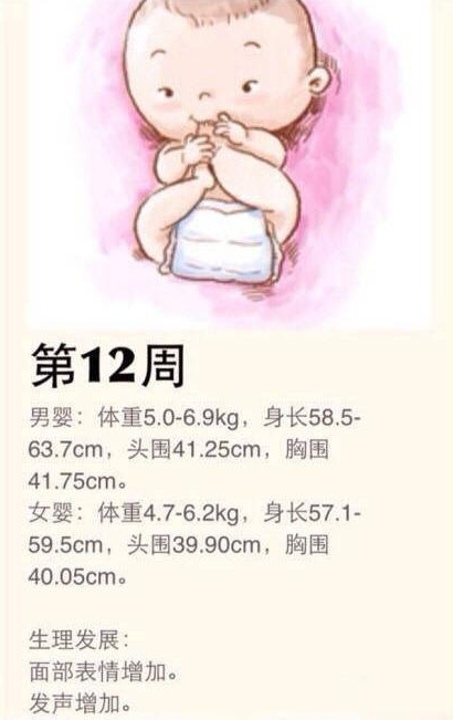 怎么觀察新生兒健康狀態 新生兒身體健康指標