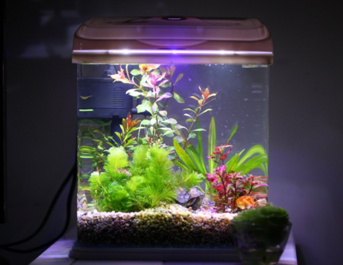 學齡前寶寶睡前故事：比海更深