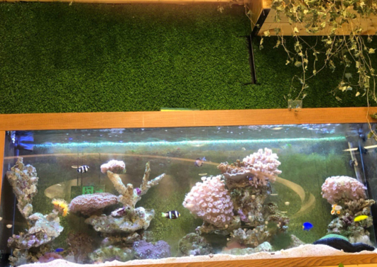 學齡前寶寶睡前故事：比海更深