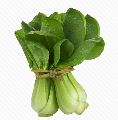 孩子不吃蔬菜怎么辦 孩子不吃蔬菜的原因