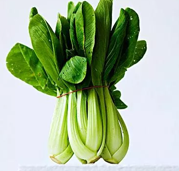 孩子不吃蔬菜怎么辦 孩子不吃蔬菜的原因