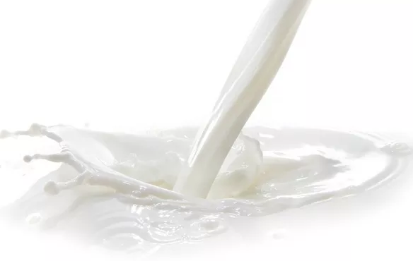 寶寶吃乳鐵蛋白有用嗎 寶寶吃乳鐵蛋白的作用 寶寶吃乳鐵蛋白有用嗎 寶寶吃乳鐵蛋白的作用