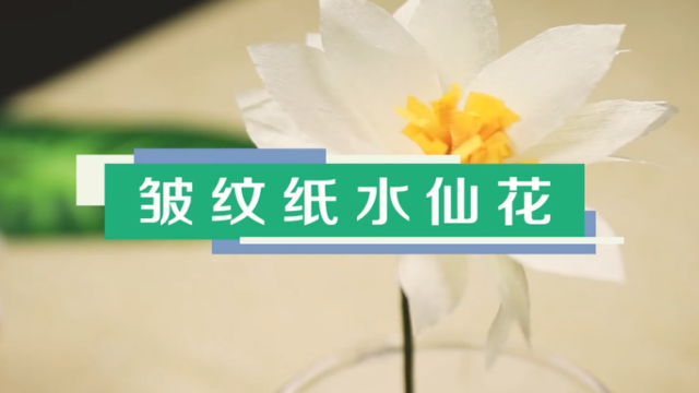 皺紋紙水仙花視頻教程 皺紋紙水仙花制作方法