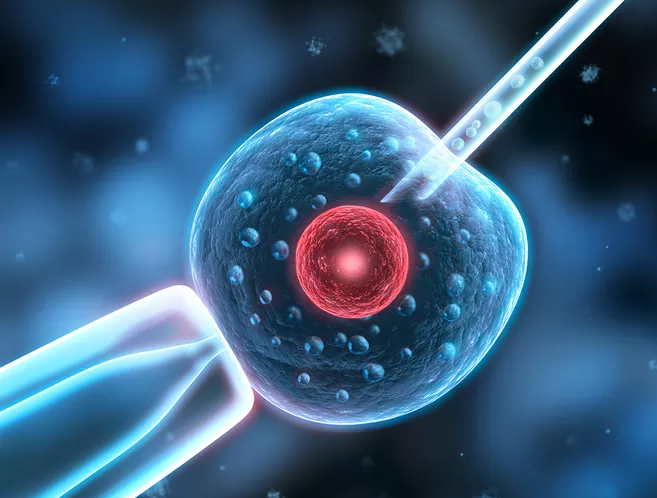 高齡女性試管嬰兒一次取多少卵合適 試管嬰兒取卵越多越好嗎 高齡女性試管嬰兒一次取多少卵合適 試管嬰兒取卵越多越好嗎