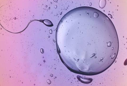 卵泡發(fā)育不好怎么回事 卵泡發(fā)育不好的原因 卵泡發(fā)育不好怎么回事 卵泡發(fā)育不好的原因