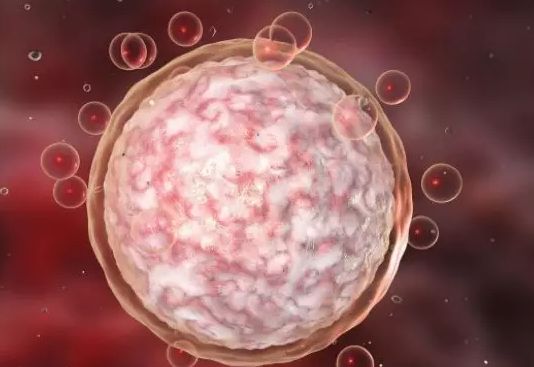 卵泡發育不好怎么調理 卵泡發育不好調理方法