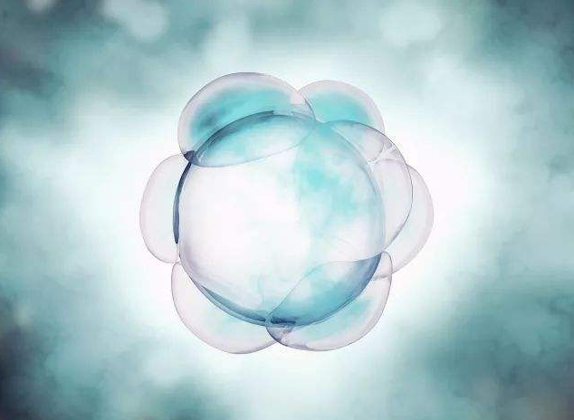 怎么看卵泡質量好不好 卵泡質量好有什么標準