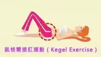 產后盆骨修復運動圖示 產后盆骨修復訓練 產后盆骨修復運動圖示 產后盆骨修復訓練