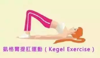 產后盆骨修復運動圖示 產后盆骨修復訓練 產后盆骨修復運動圖示 產后盆骨修復訓練