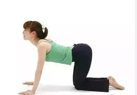 產后盆骨修復運動圖示 產后盆骨修復訓練 產后盆骨修復運動圖示 產后盆骨修復訓練