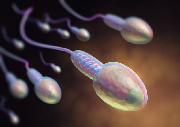 男人精子質量的高峰期是什么時候 男性精子變少有什么信號 男人精子質量的高峰期是什么時候 男性精子變少有什么信號