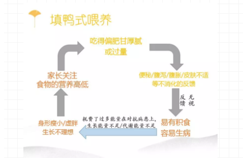 反饋式喂養是什么意思 反饋式喂養和普通喂養的區別