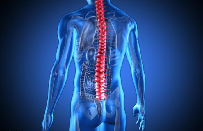 孩子脊柱側彎怎么辦 孩子脊柱側彎治療方法 孩子脊柱側彎怎么辦 孩子脊柱側彎治療方法