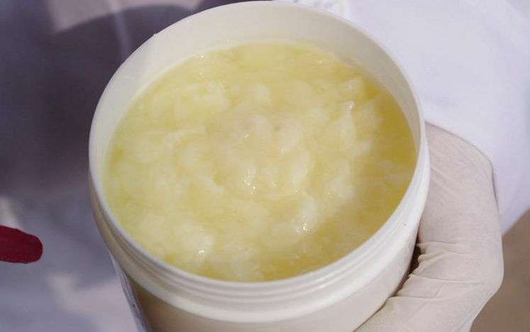 男性備孕可以吃蜂王漿嗎 男性備孕吃什么食物好 男性備孕可以吃蜂王漿嗎 男性備孕吃什么食物好