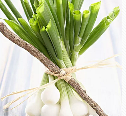 8個月的寶寶可以和蜂蜜水嗎 寶寶哭鬧可以給糖吃嗎