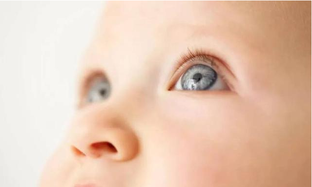 0~12個月小寶寶視力發育有什么特點 0~12個月小寶寶視力發育特點 0~12個月小寶寶視力發育有什么特點 0~12個月小寶寶視力發育特點