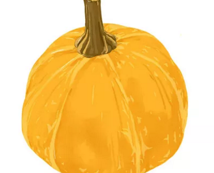 寶寶輔食可以吃南瓜嗎 吃南瓜的好處有哪些