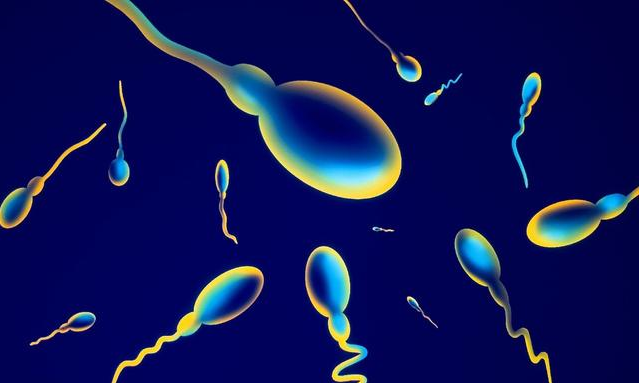 精子畸形率高會影響懷孕嗎 男性精子畸形率高該怎么辦 精子畸形率高會影響懷孕嗎 男性精子畸形率高該怎么辦