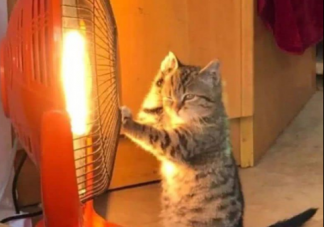 冬季孩子怎么預防燙傷 冬季孩子燙傷預防方法