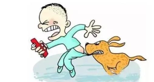 孩子被狗咬了怎么辦 孩子被狗咬傷處理方法