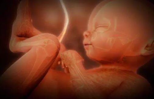 孕婦四維彩超需要空腹嗎 四維彩超需要憋尿嗎