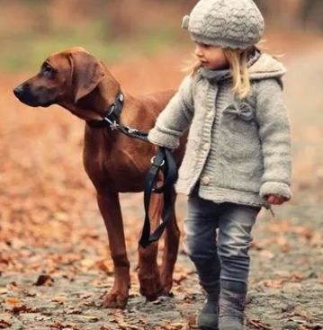 孩子愛頂嘴什么原因 孩子愛頂嘴怎么辦