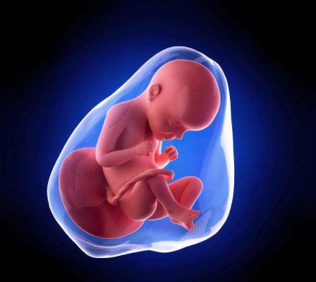 孕期羊水不足有什么預(yù)兆 孕期羊水不足的癥狀表現(xiàn)