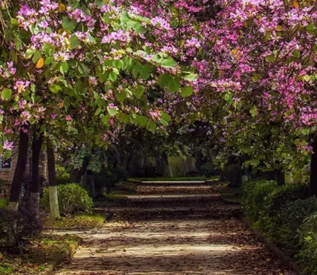 為什么春季不適合備孕 哪個(gè)季節(jié)適合備孕 為什么春季不適合備孕 哪個(gè)季節(jié)適合備孕