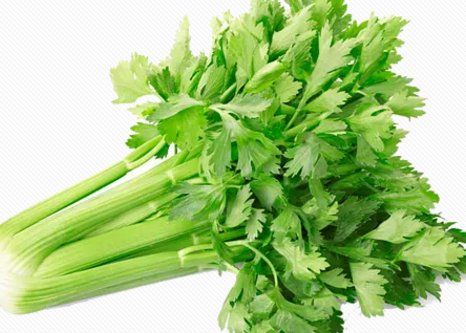 為什么春季不適合備孕 哪個(gè)季節(jié)適合備孕