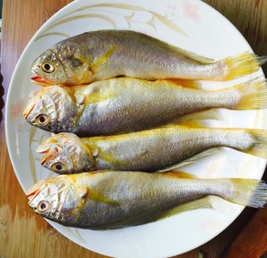 什么是幼兒貧血 幼兒貧血怎么辦