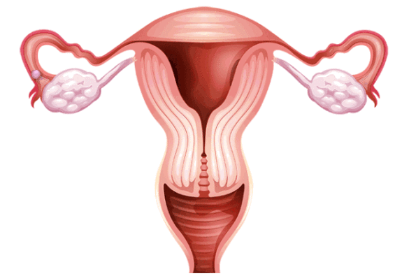 受精卵著床出血幾天 受精卵著床出血多嗎 受精卵著床出血幾天 受精卵著床出血多嗎